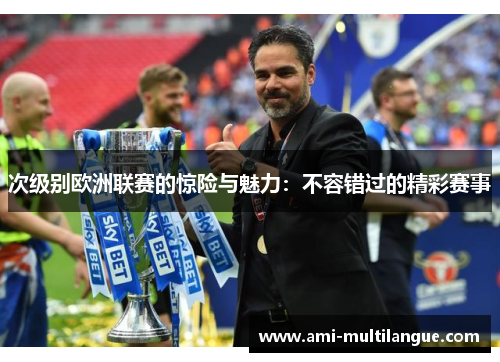 次级别欧洲联赛的惊险与魅力：不容错过的精彩赛事